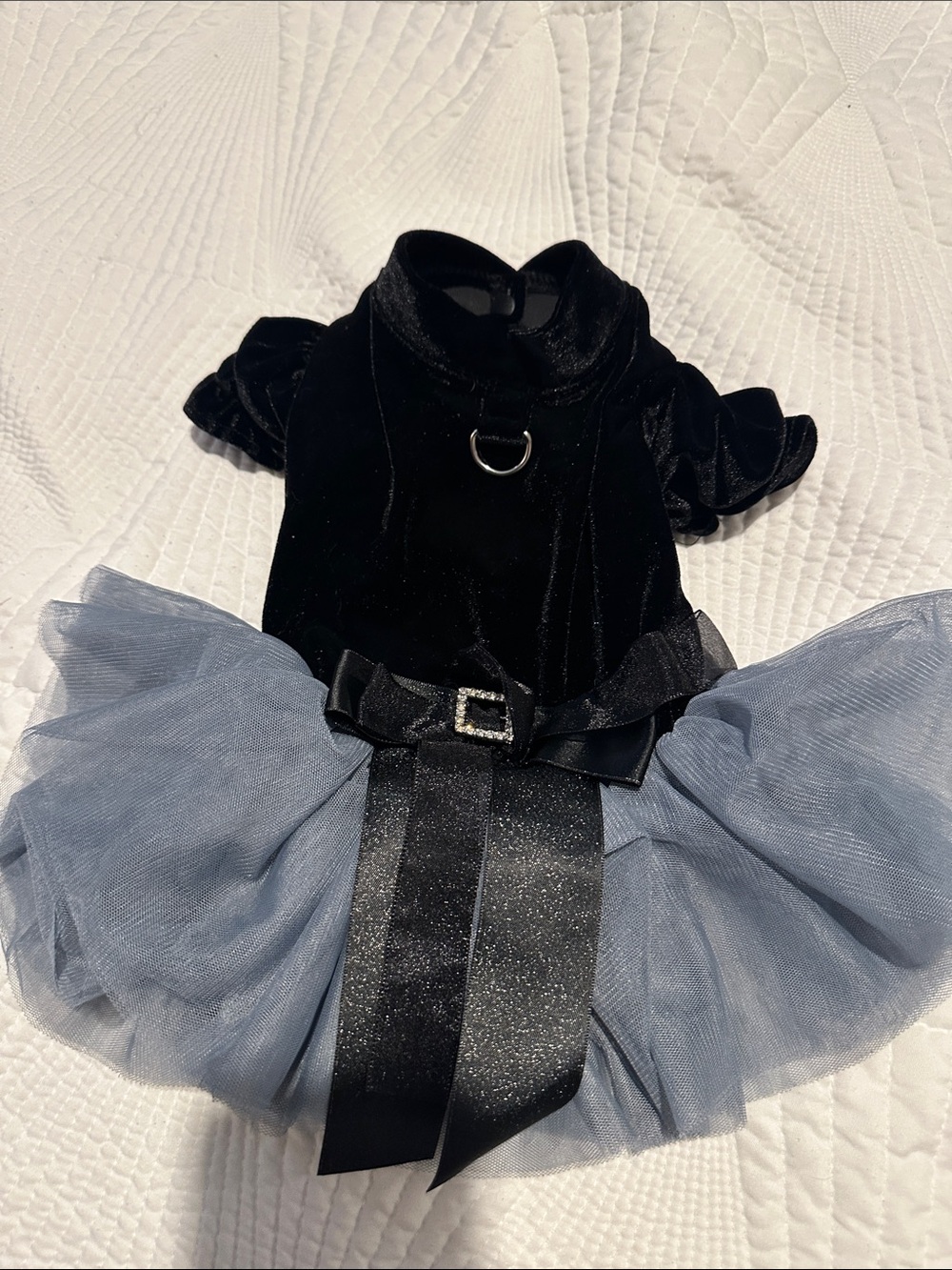 Black Velvet & Gray Tulle Dog Dress with Bow